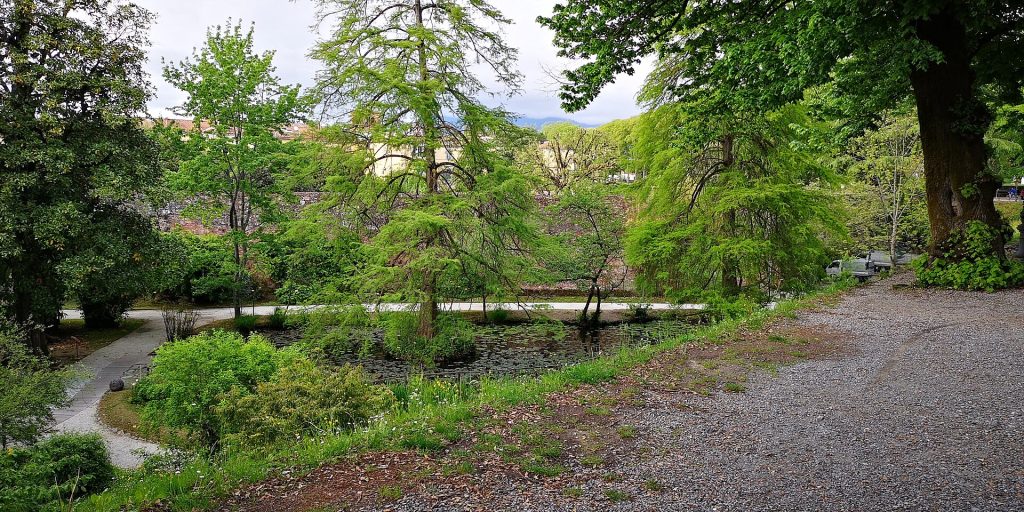 Vista dell'Orto Botanico dalle Mura di Lucca